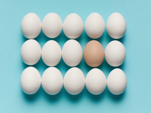 Brown egg with large white eggs