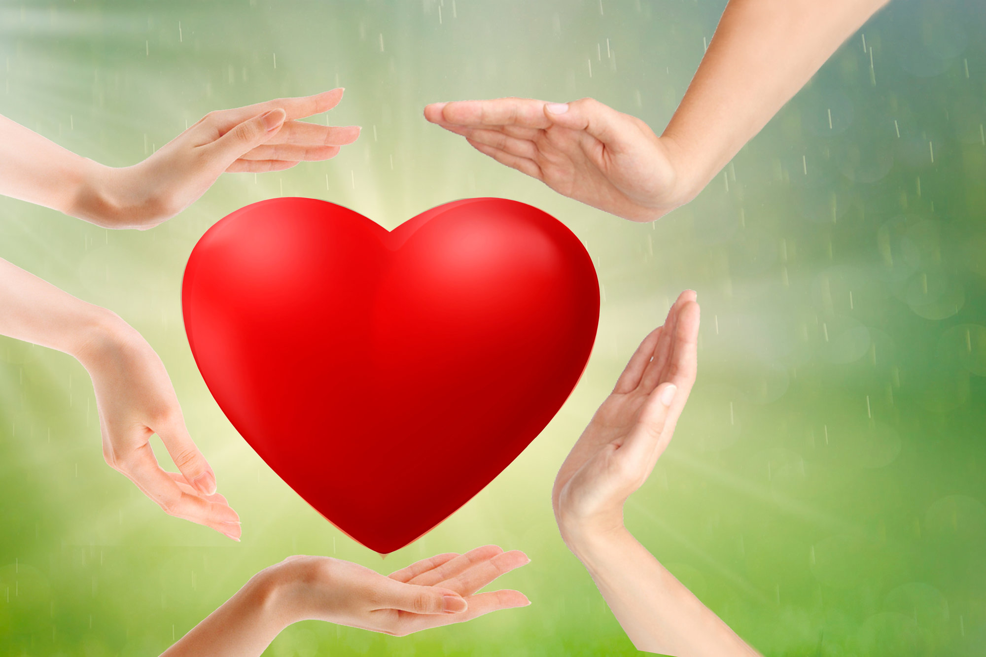 adult and child hands holding red heart, health care, love and family insurance concept, world heart day,