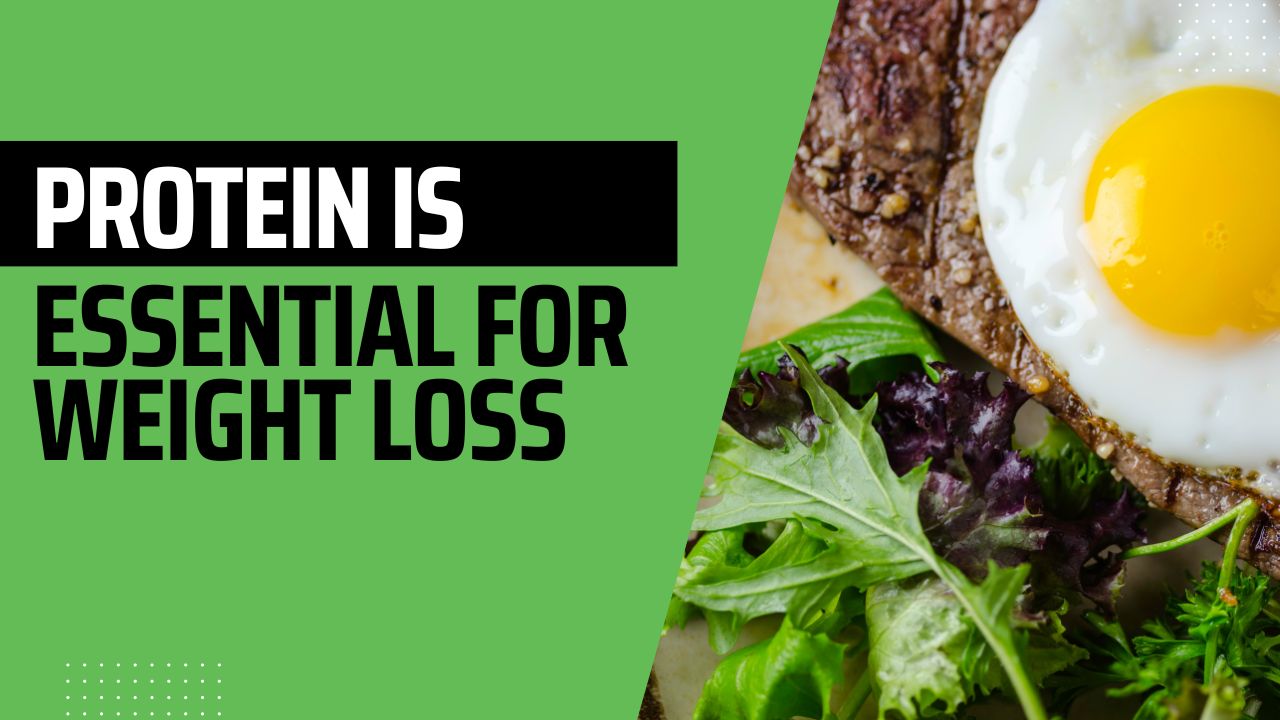 Protein is Essential For Weight Loss