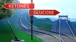 Railway Turnout Ketones/Glucose